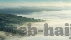 后入人妻在线-探索网络世界的边界,理性视角下的网络行为与伦理